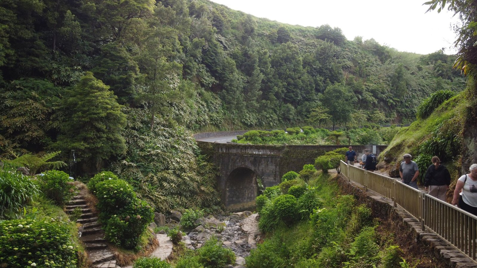 Zona com vegetação densa
