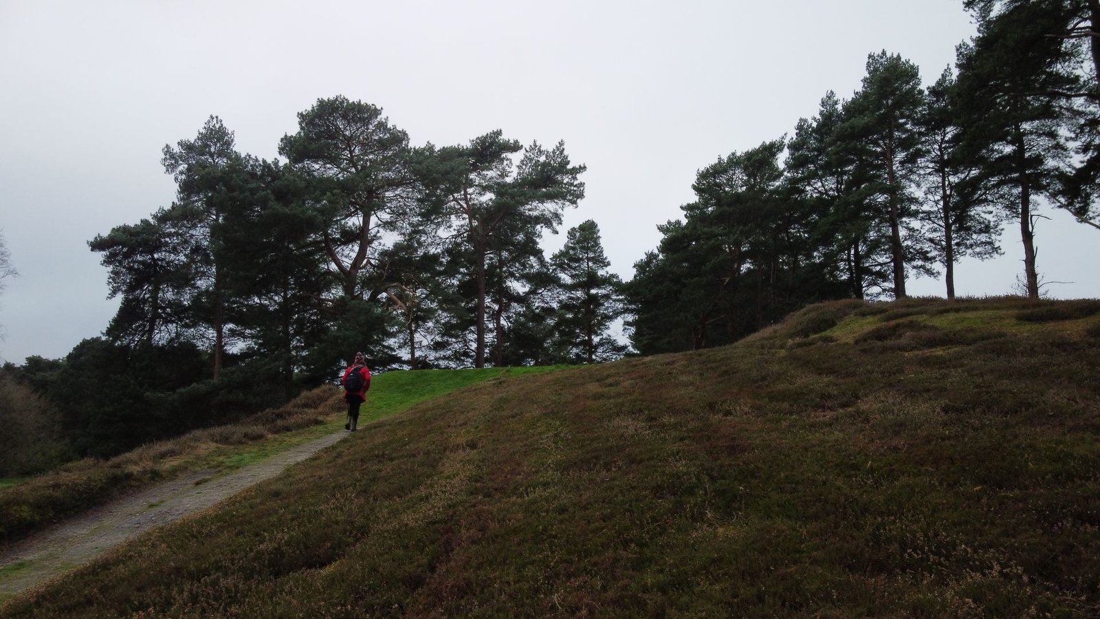 Trilho de natureza vista aérea